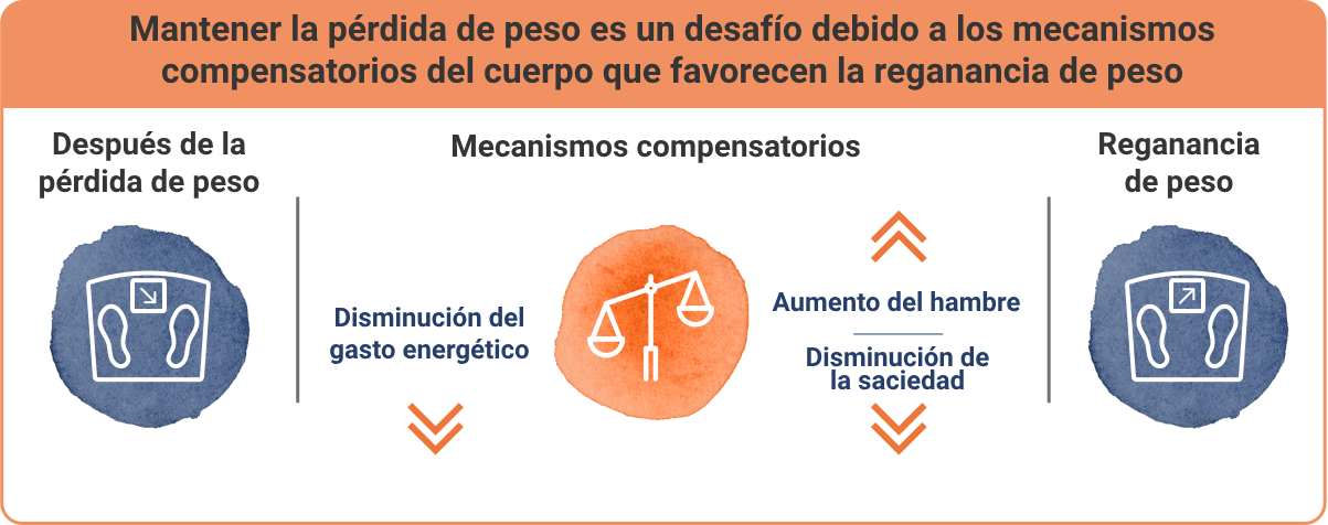 resistencia a la pérdida de peso por mecanismos compensatorios del cuerpo