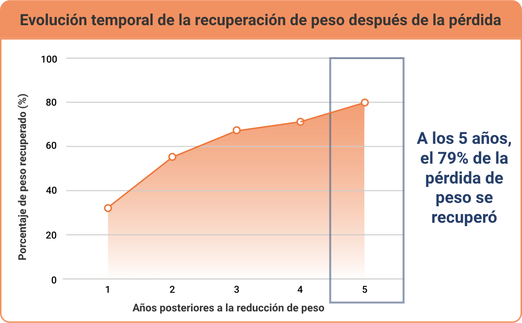 evolución temporal de la recuperación de peso después de la pérdida