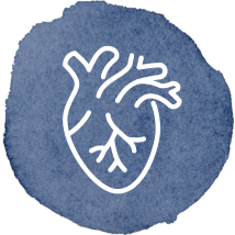 Icono Enfermedad Cardiovascular