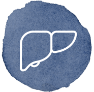 Icono Esteatosis hepática-esteatohepatitis
